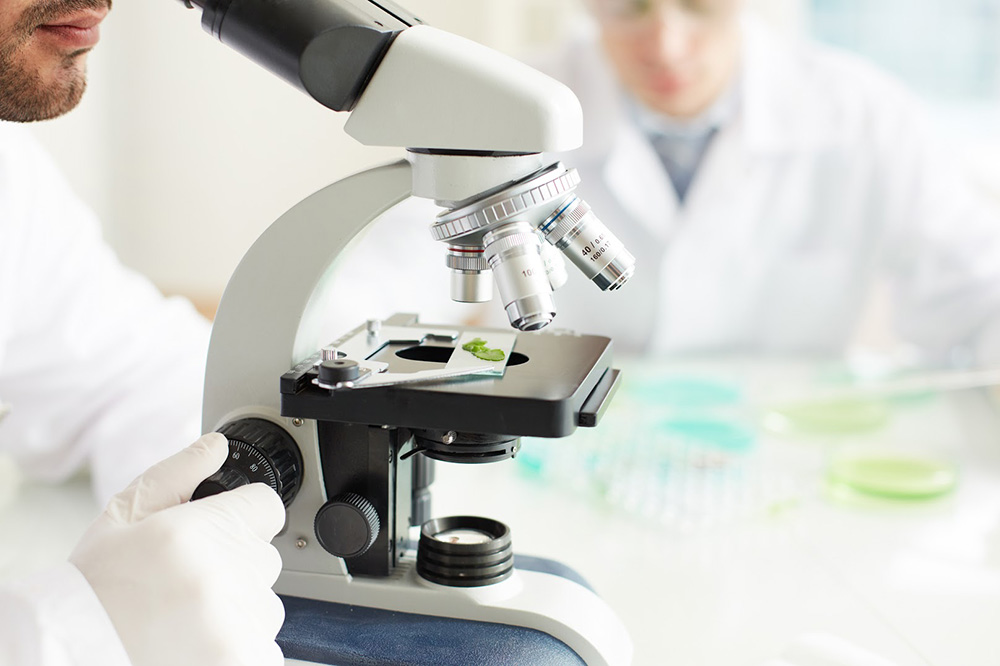Johns Hopkins Track Metabolic Pathways to Find Drug Combinations for Pancreatic Cancer That Perform Better Than Single Drug Treatments