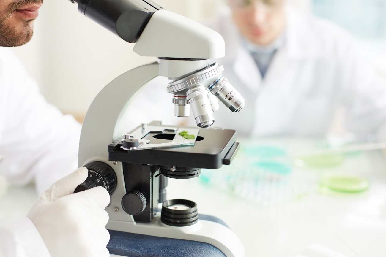 TGen Discovers Potential Drug Targets to Reduce Pancreatic Pain