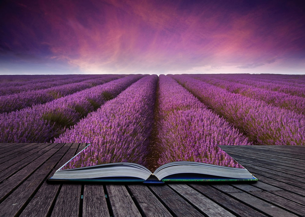 RANDY PAUSCH: HIS LAST LECTURE AND FAMOUS QUOTES