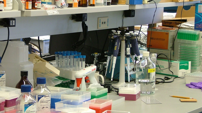 Researchers Discover Combination Cancer Vaccine That Reduces Pancreatic Cancer Tumors in Mice