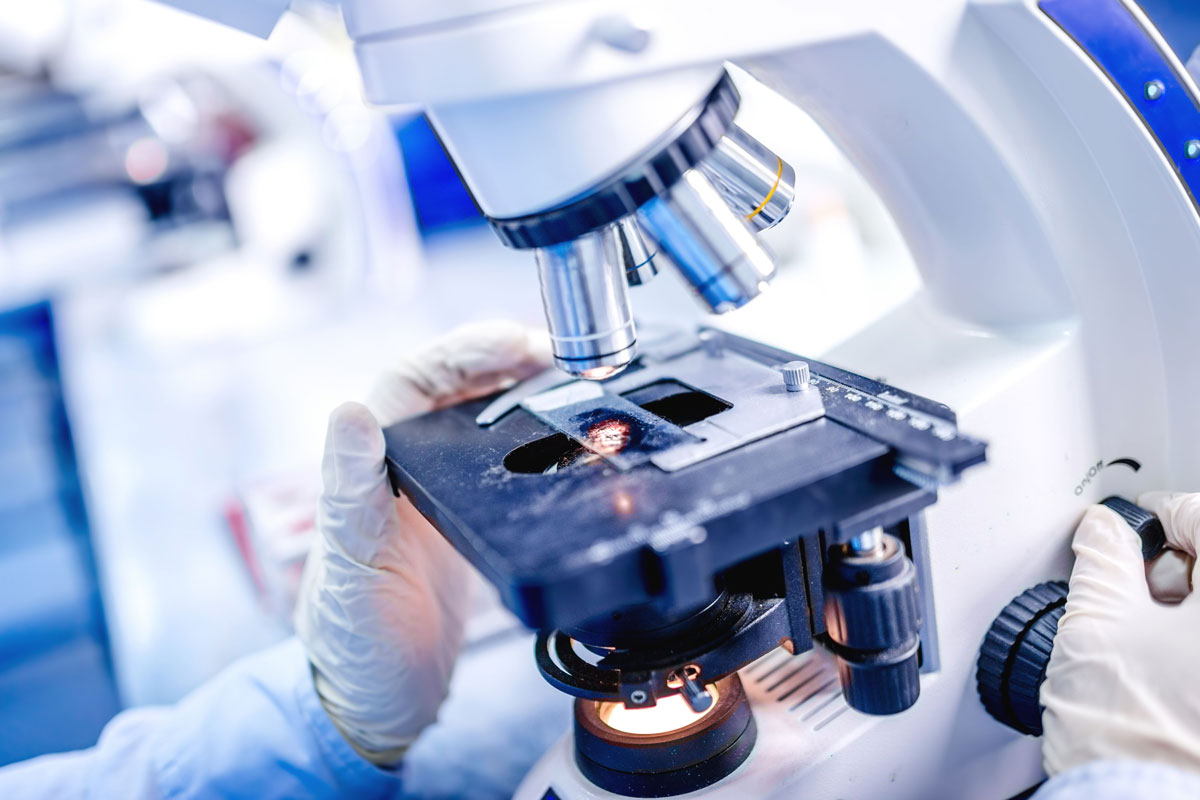 Drug Compound Attacks “Super Enhancers” in The Stroma Cocoon