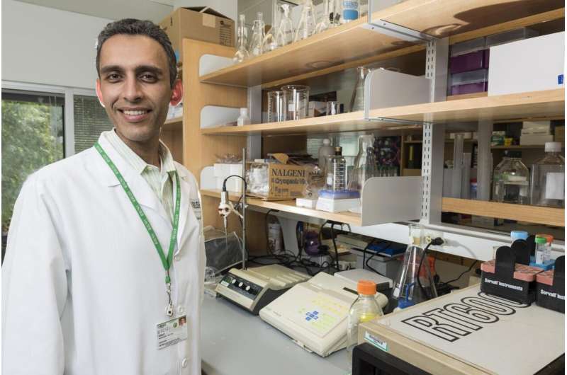 The Link Between Opioid Medication and Pancreatic Cancer