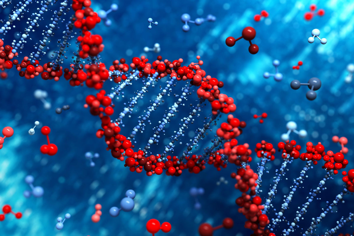 Combining CRP and CA19-9 In A Prognostic Score in PDAC