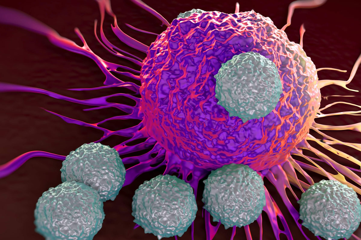 A Stromal Targeting Agent For Pancreatic Cancer