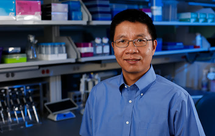 Study: Arming The Immune System To Recognize Foreign Invaders