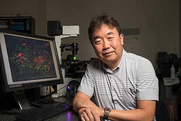 New Novel Way To Reverse Pancreatic Cancer